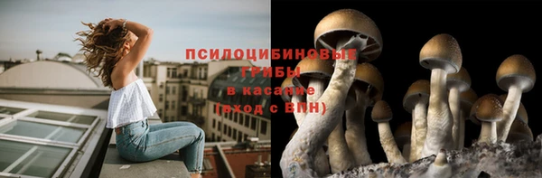 apvp Белоозёрский