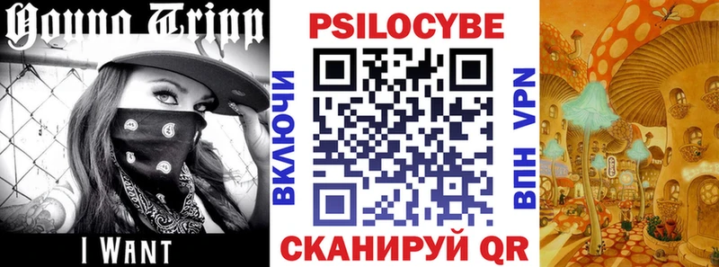 Галлюциногенные грибы GOLDEN TEACHER Красково